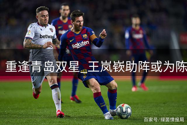 重逢青岛双星 王岚嵚助阵或为陈培东添翼
